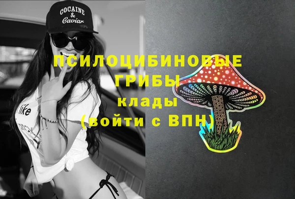 гидропоника Арсеньев
