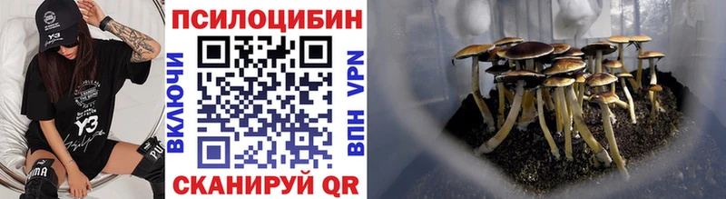 Купить закладки  Сегежа  Псилоцибиновые грибы Psilocybine cubensis 